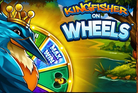 Kingfisher on Wheels